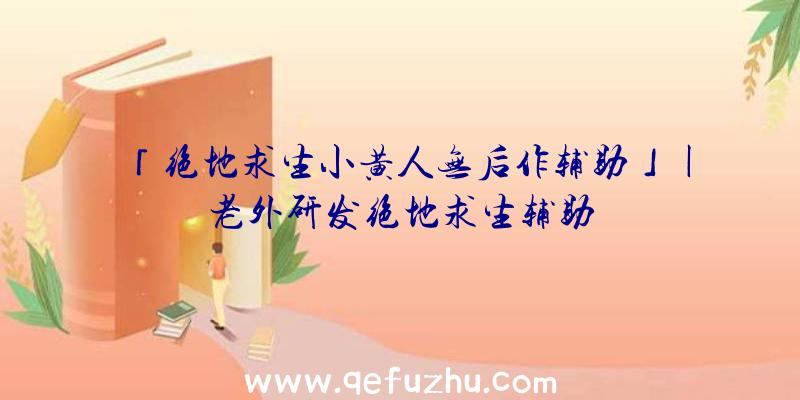 「绝地求生小黄人无后作辅助」|老外研发绝地求生辅助